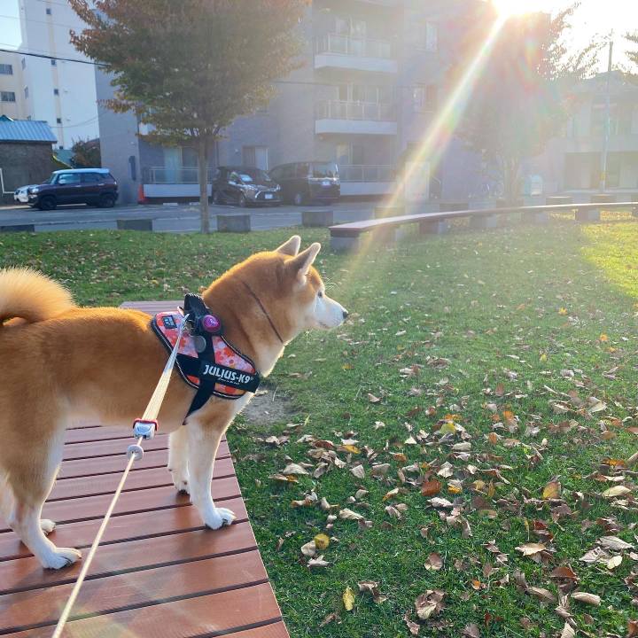 292b581c e043 4ff5 a982 f851b562faea 1604623638436