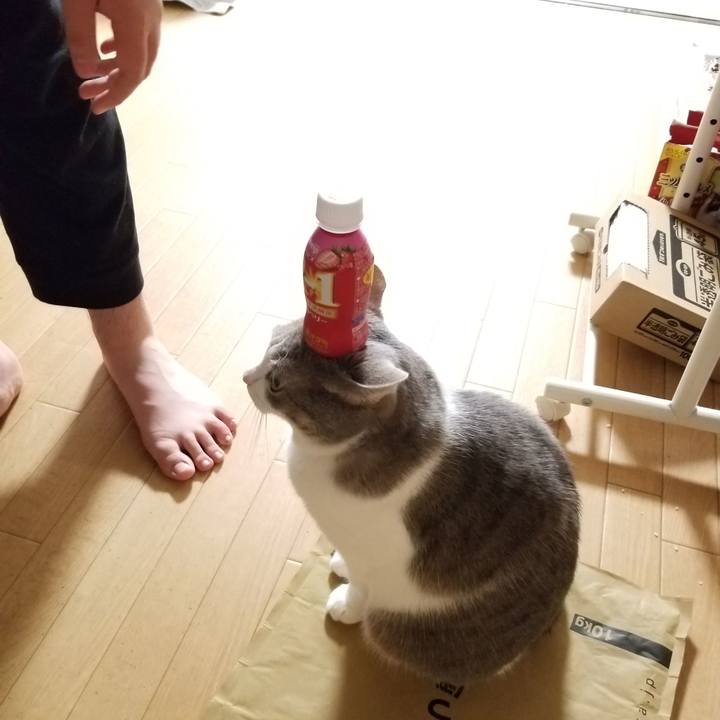 292b831a 65a2 42cf a647 9f9cd5cf8699 1635257408668