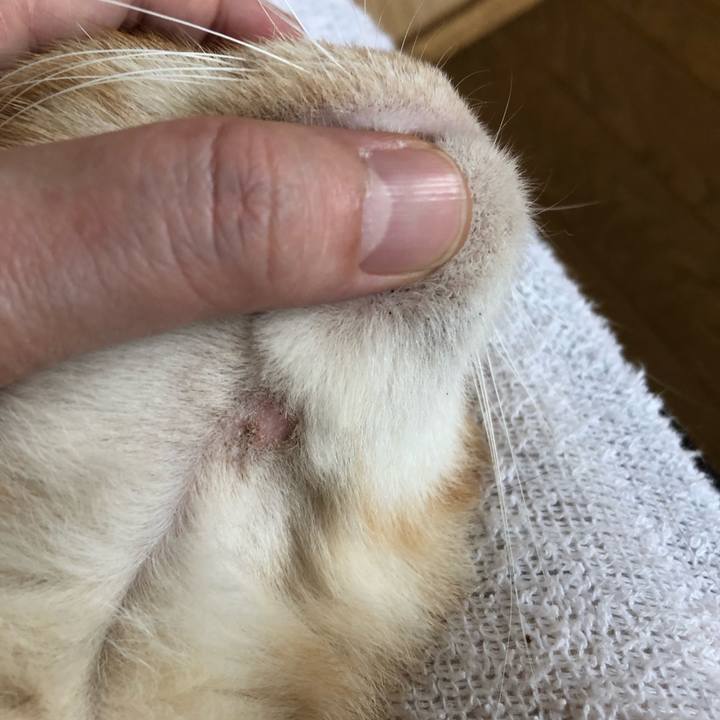 292ba857 cd7b 4b1b 9d0b 29154e57fc36 1606012542475