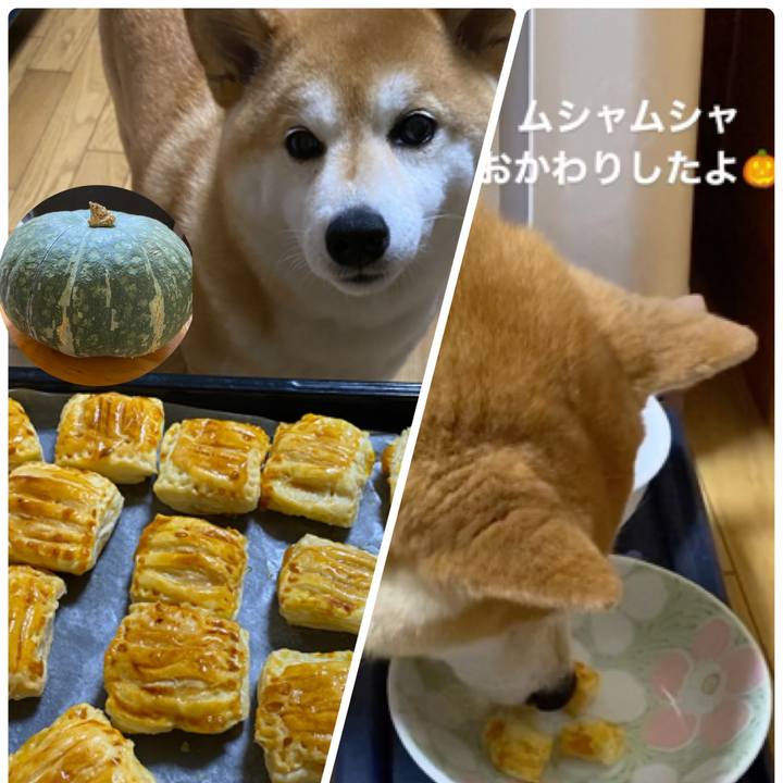 292bc898 6024 43b7 b081 c3a78b365162 1629633082388