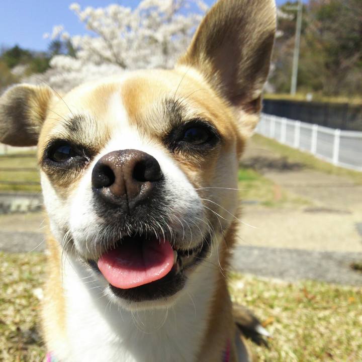 292bdc07 74ee 498a a0f4 fda8a60a0858 1585690306184