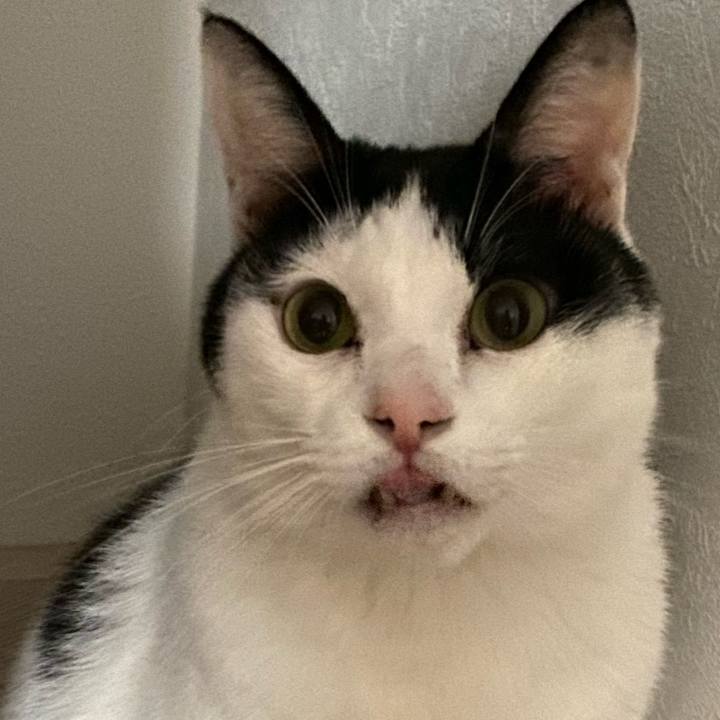 292be1d5 03bd 4b75 9fcf 2656e7319fd7 1575723673771