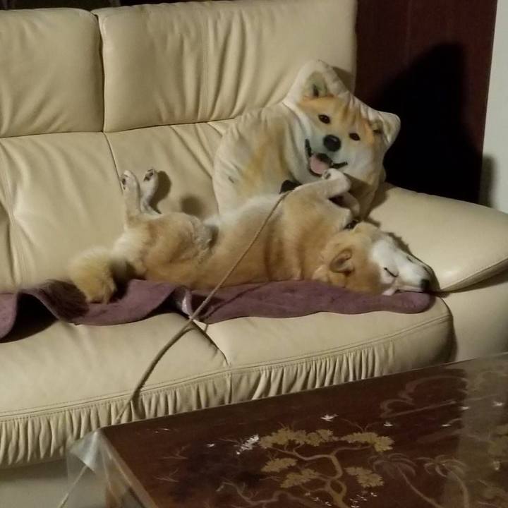 292be3d6 e24b 48c9 85ad e1abe585cc7a 1563018820197