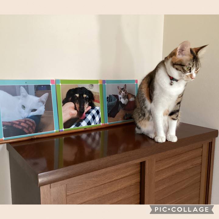 292c1a33 2ede 427e 8412 1e46efee798c 1668655005303