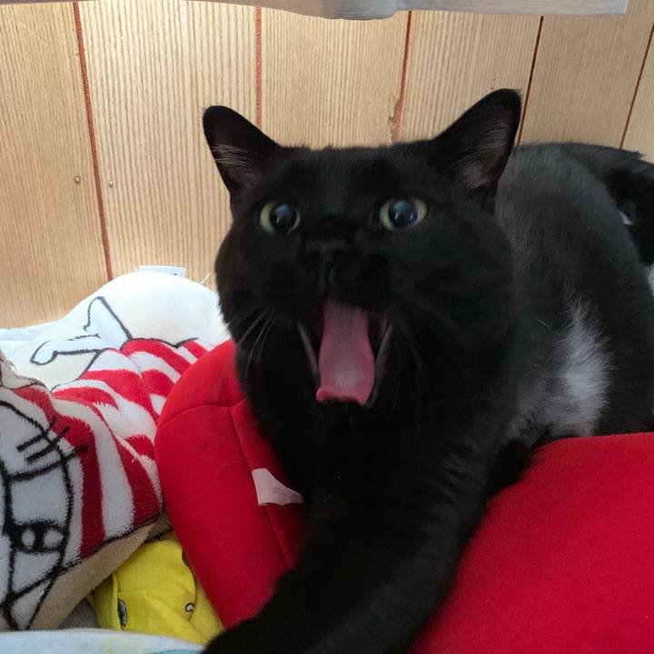 292c410e f885 470c b063 2a1fa9cf2a39 1560984510456