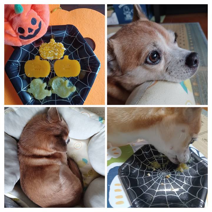 292c8ec8 520a 4342 b7a9 703a6ac9a0f7 1761448023211