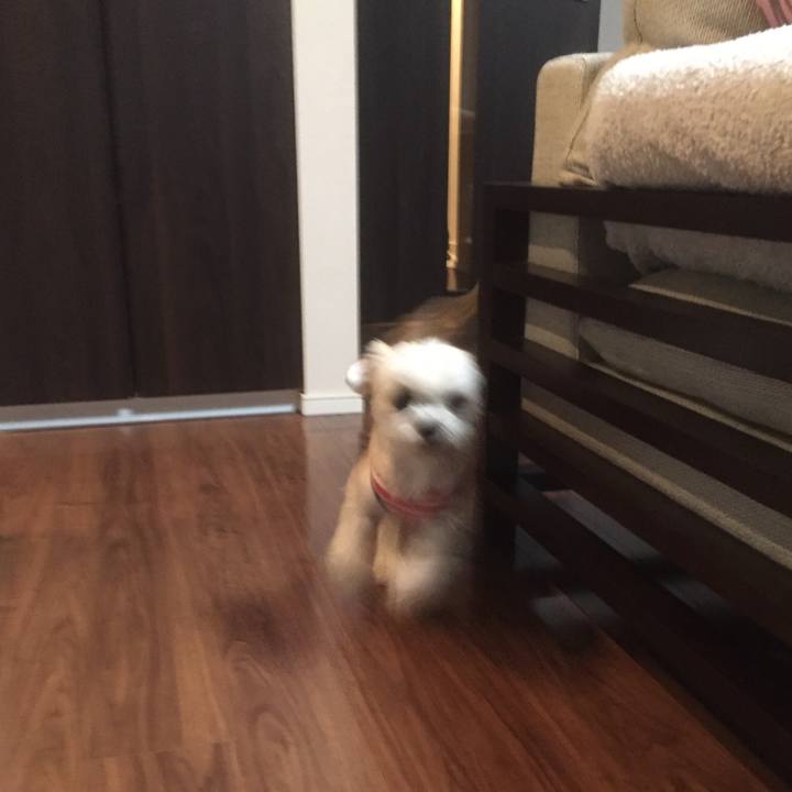 292c9817 b5db 4c9f 8614 73c7088486a3 1555420167264