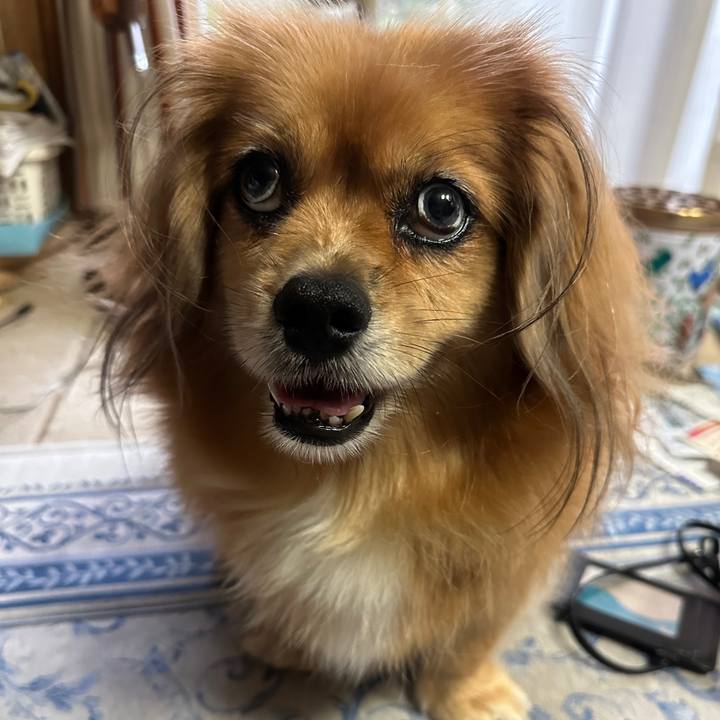 292d16c1 6e1a 4afd b548 a71930057855 1695330699880