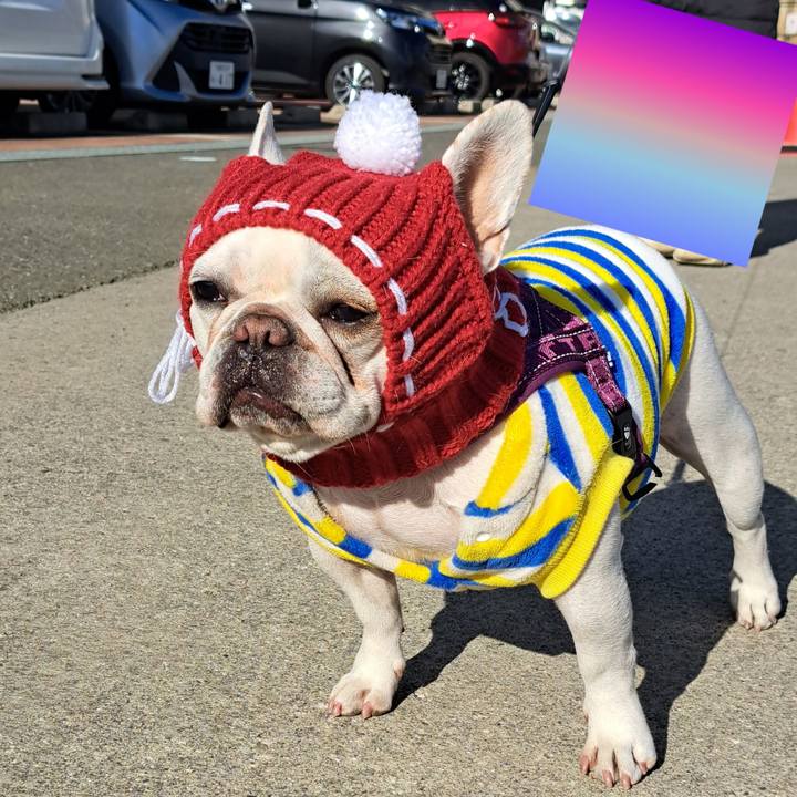 292d1c6b ab95 4fb4 a032 926f5b4273ef 1706086241244