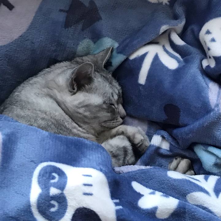 292d7199 f3bb 4d40 a3dc b1ba144f8ae9 1634903430593