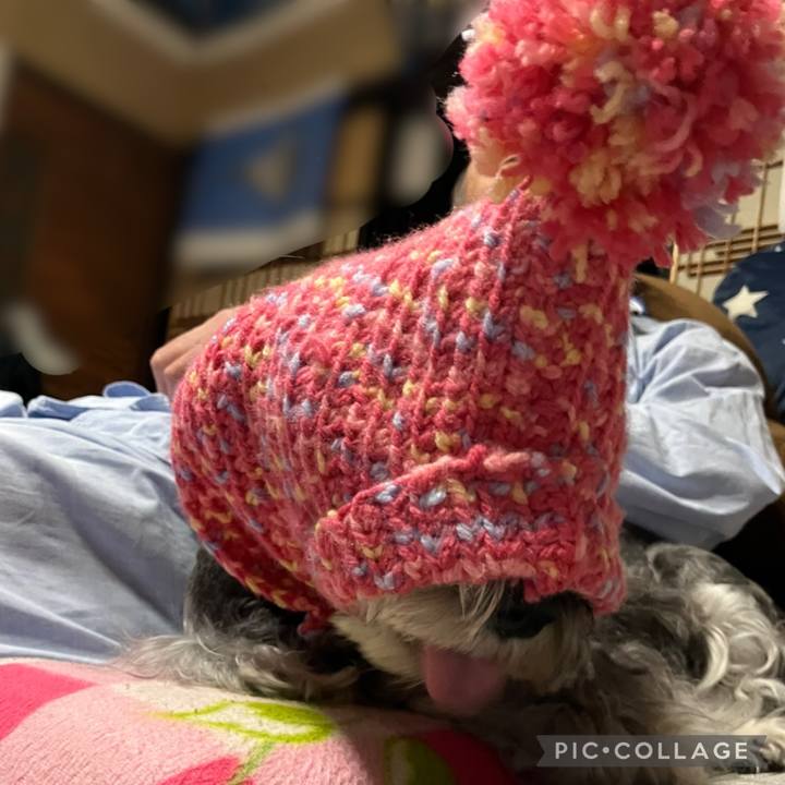 292d7b72 9901 4dd8 ba45 3d48f8073559 1730209758868