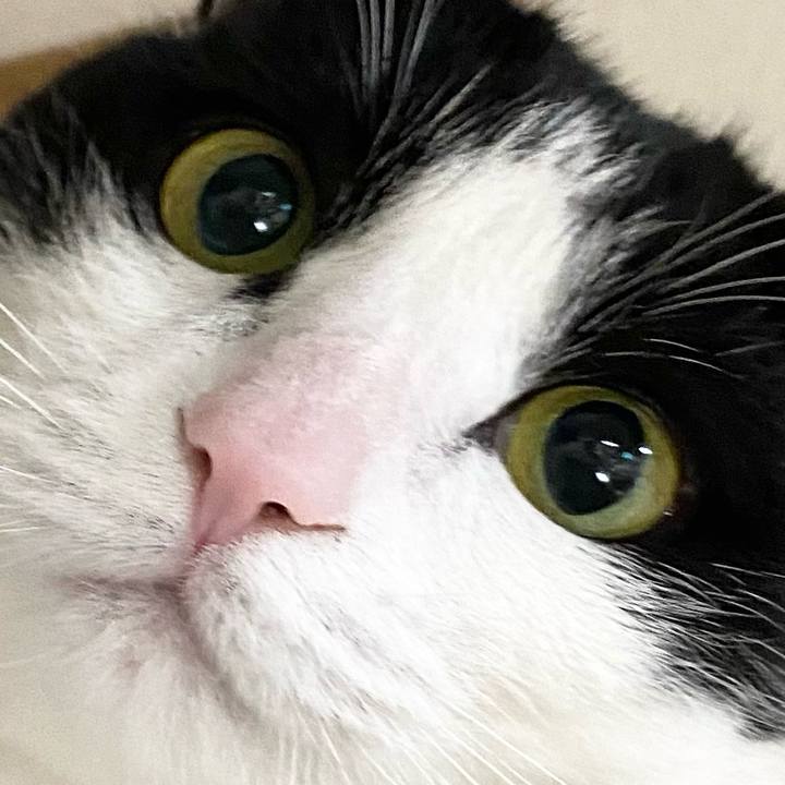 292d9613 310a 469a 8bf5 d81fde18a749 1618354848717