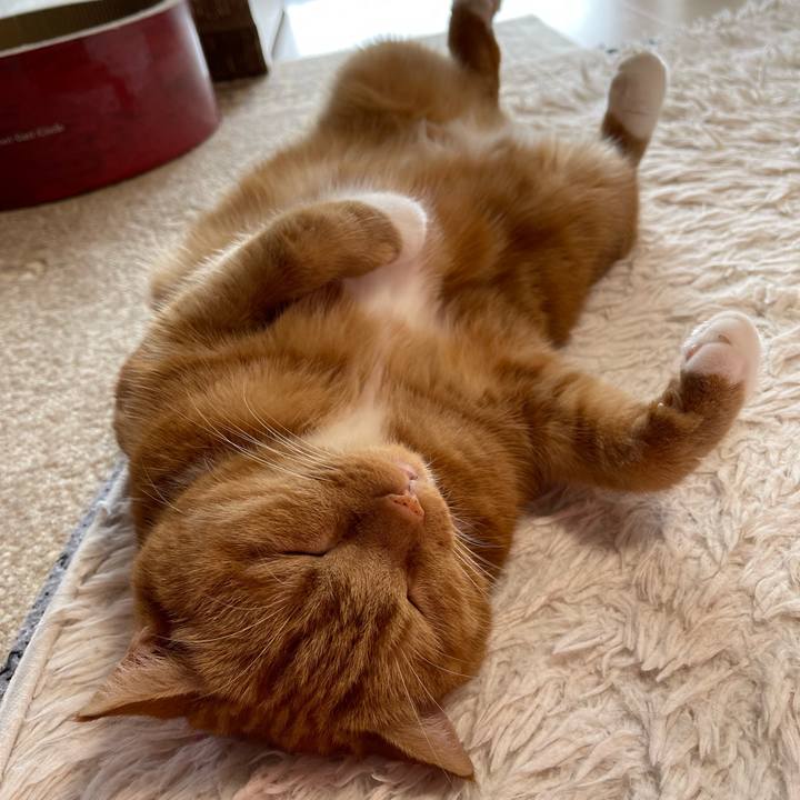 292daef4 fe3a 4d9f bdcb f99f775330f8 1663565996089