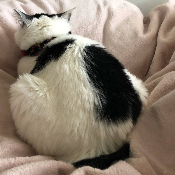 292db082 c99b 4484 ad33 55cdadf09770 1552002413733