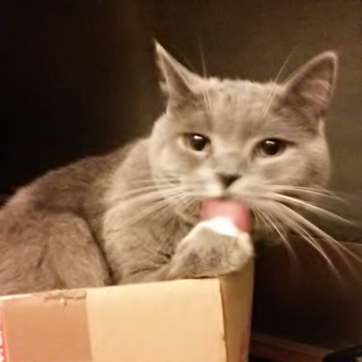 292e4850 6aea 45e1 b117 212d0a446607 1551704092599