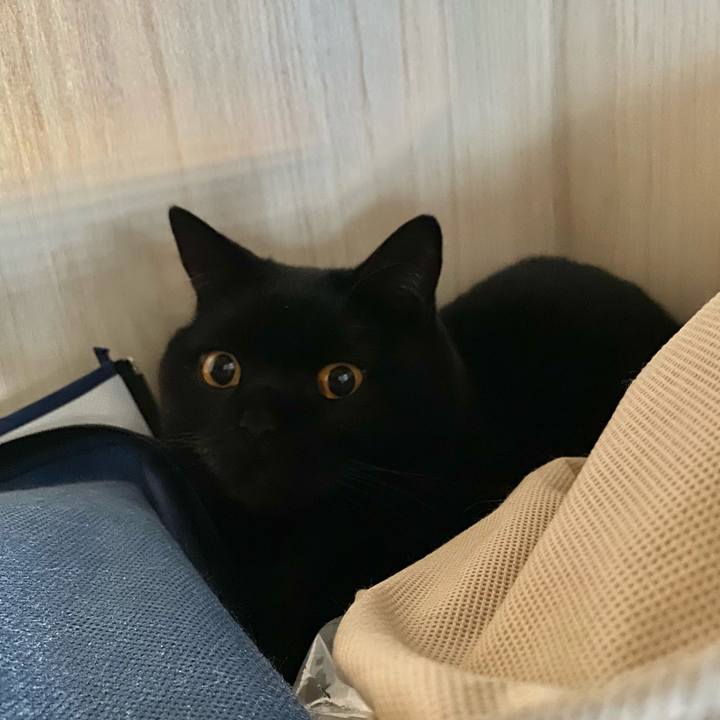 292e59c7 79a3 4c40 a753 1f56f843964f 1613784290438