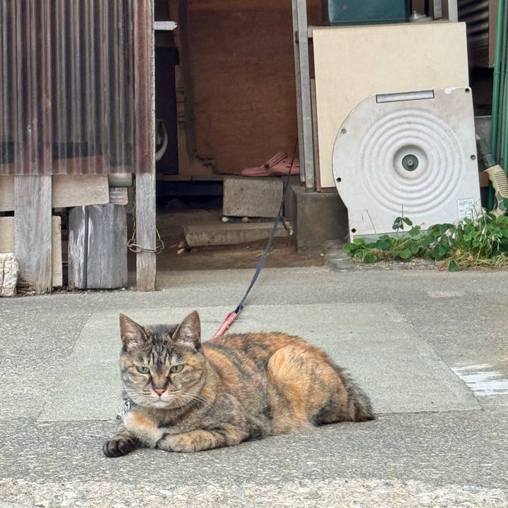 292ebe07 4693 4951 939c 037d83848a83 1751942134824