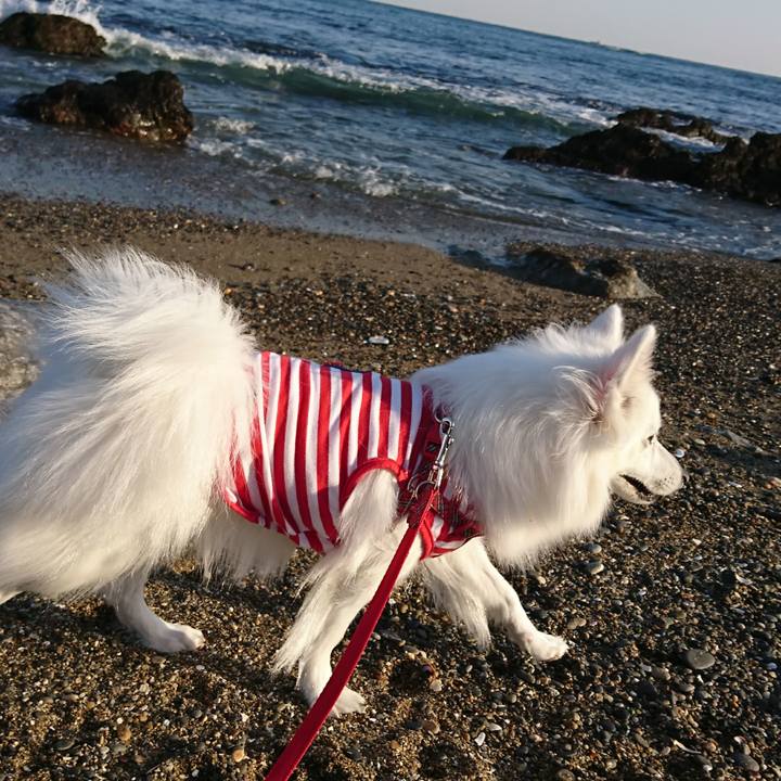 292ec177 cee4 42ed b2f8 94d90ffcf52b 1523194254469