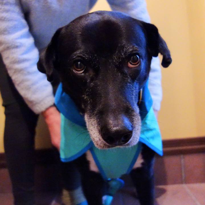 292ec35f e58a 497e 93f4 f60a37f3bff8 1732059828039