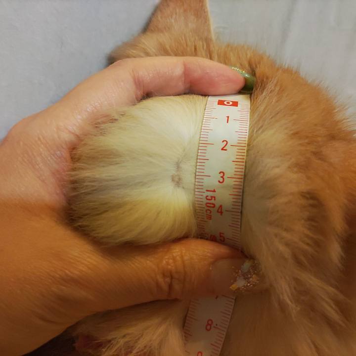 292ee7ad 465d 487e 8b24 680e999d1445 1680959510161