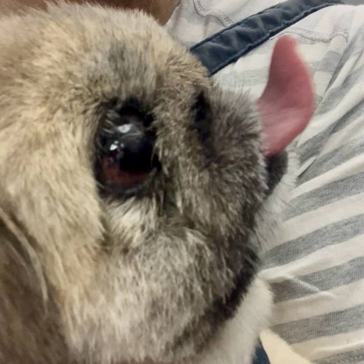 292f0ddc f76b 4481 b444 46d16ac9b3a8 1759015068610