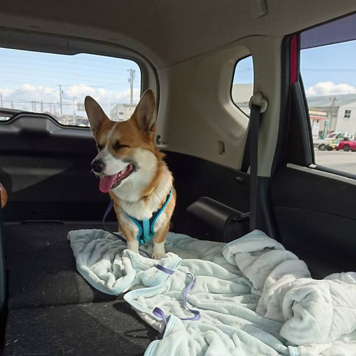 292f2d51 326c 4c78 b98e e625d48c8a93 1583396971253