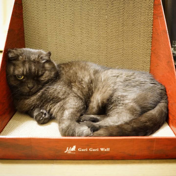 292f57db ab5a 43f7 aea1 f2e64c5fe996 1630587455993