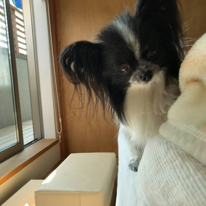 292fa345 952b 4b5e acbd 90c1b3867e0d 1554023267196