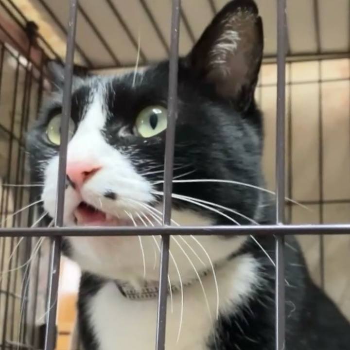 292fc0a3 80b5 4686 b88c faf6e13321bd 1741685391566