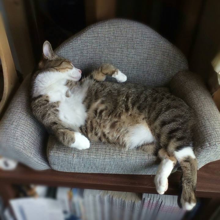 292fc263 b699 4b7e 9437 34b75839a1f9 1563753854257