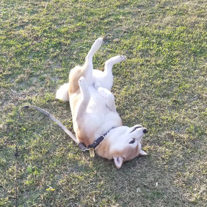 292fcd1c 922b 4d62 88e3 1bf6f6dbcdb4 1636957494513