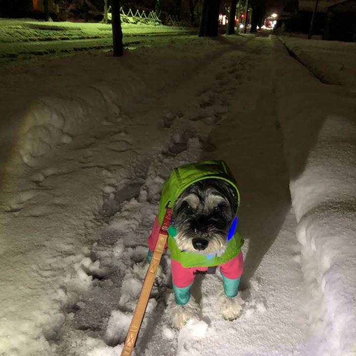 292fce5a aa15 4835 994a b2dbee40fb34 1703253460003