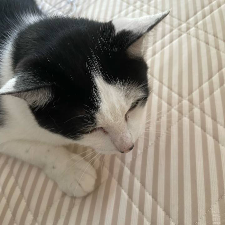 292ff7f2 1bdc 43fd a5ba 9ada4caab15b 1657663200886