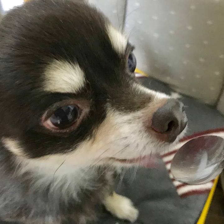 29301bc5 ec9c 41f7 99a4 9b74b66072a9 1509109812051