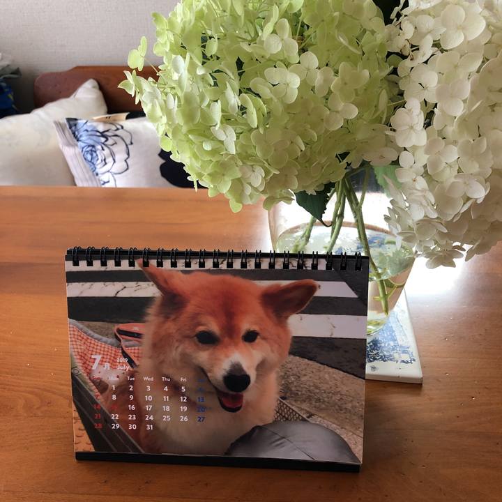 293033a6 77f3 486d a0f8 a50b290033a0 1562204707030