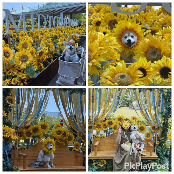 29303cec 2c6f 4bb4 a0f2 35bfc3ca4807 1756826366283