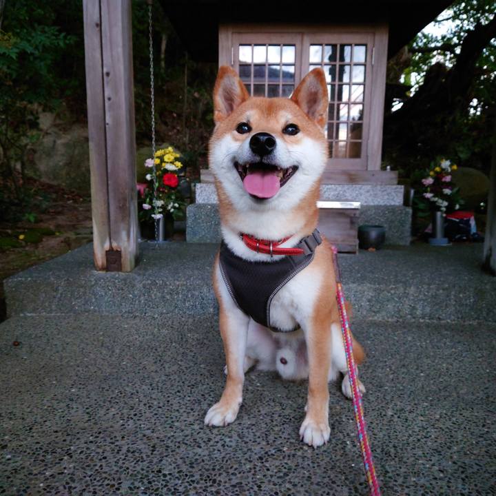 29305975 5750 4653 bf8f a281e6b74c02 1761521547983