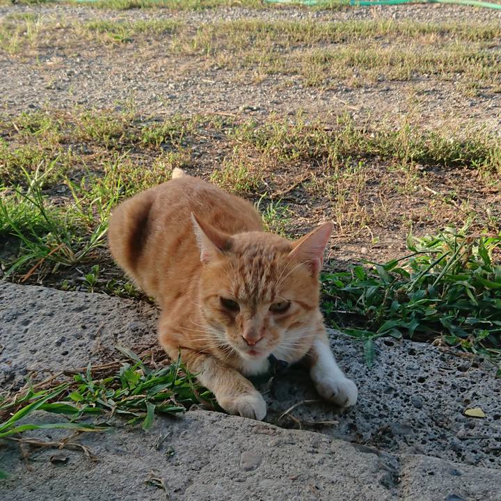 293060d8 2bdc 4aad 83c4 eee7fa3d75b8 1565818780498