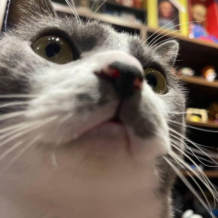 29306319 f26c 49e8 a329 96276e32b154 1700561748665