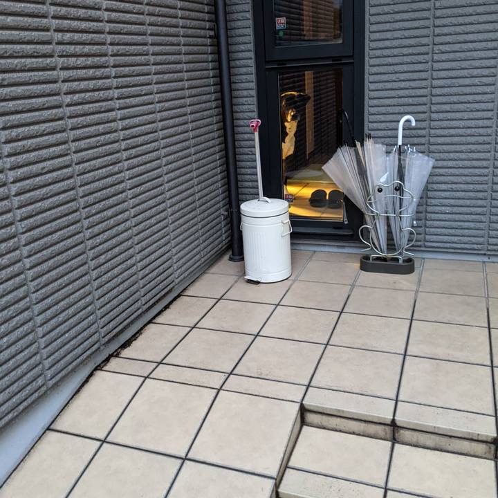 29309e04 7308 4337 945d 4b2786cb1859 1679137649264