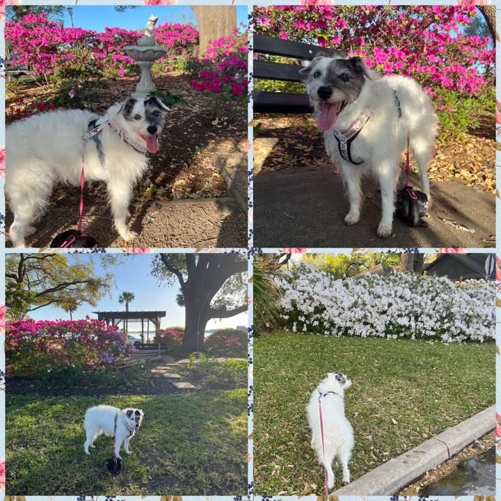 2930cfe9 6b4b 4b3d a607 c5cf68b34c10 1742608973777