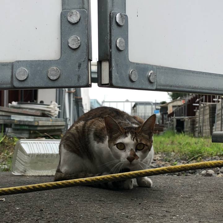 2930e05a 3eb5 4f17 9a92 f926978093f0 1564045625220