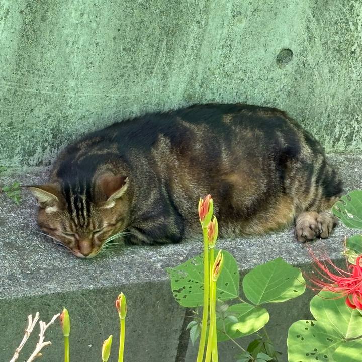 2930eee6 d3cb 46d9 8919 9a31d3f574e9 1758950363864