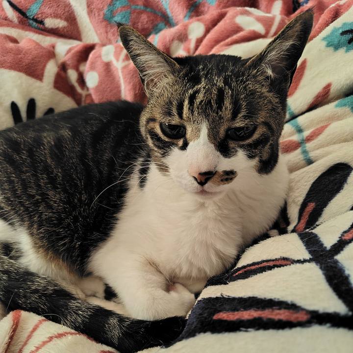 293102bf ba9a 46ff 8ca2 37bceb8f1834 1774836137458