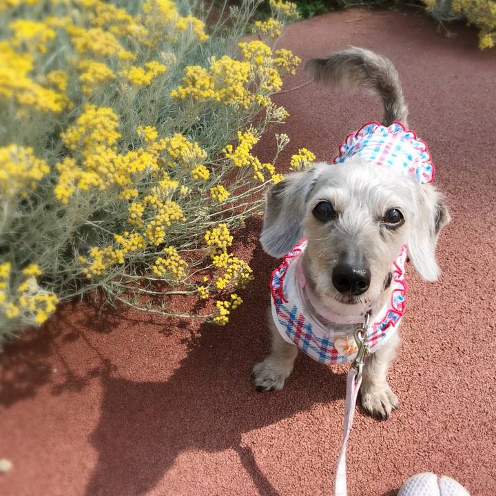 29310d5f c482 4abc bfd0 b1d6a9995384 1528420299127