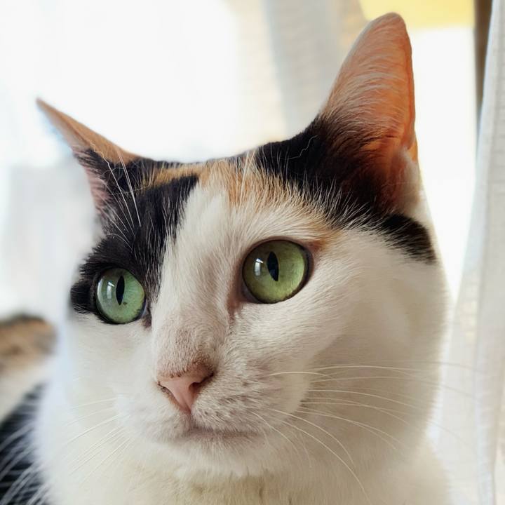 29318542 a969 44c2 9586 fe89f6f2a08f 1599528372607