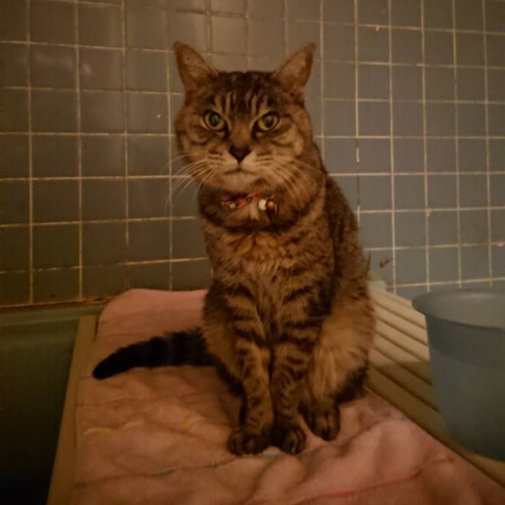 29319e17 37be 4197 bbe4 a5fd09df939c 1579264351870