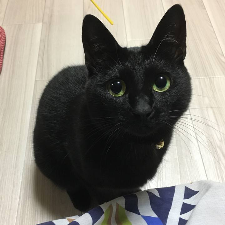 2931b293 b682 4ac8 ad60 5c6de78c06ff 1509968723445