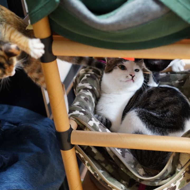 2931b830 317b 4153 8091 734fd7fb50ab 1571063143451