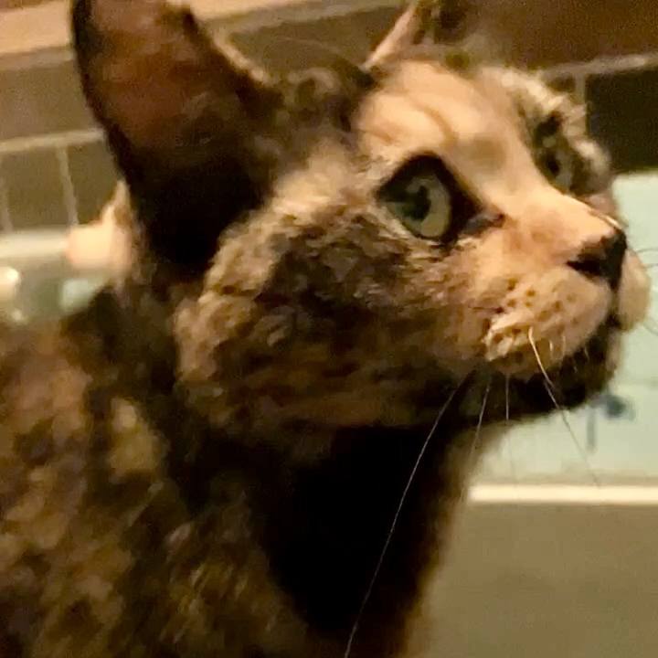 2931e53e 3d75 4c7d b69d a0fb52809179 1743708020481